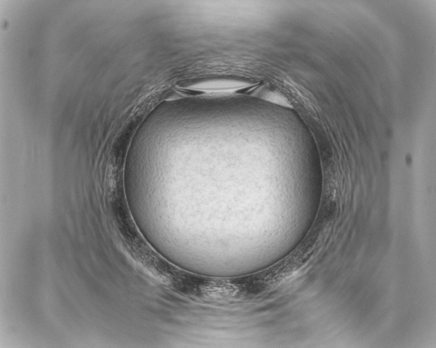 X0000087020215200705071518