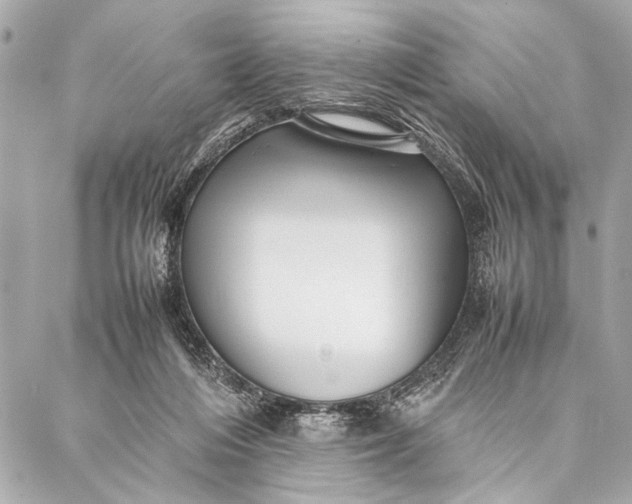 X0000087020216200705071518