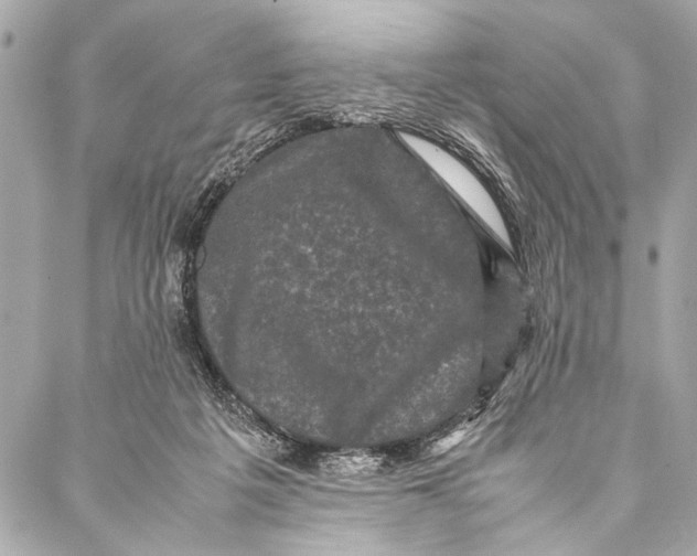 X0000087020217200705071518