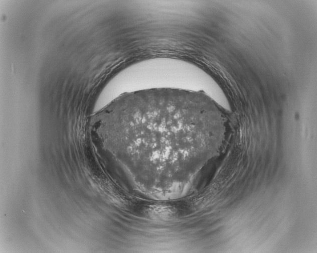 X0000087020218200705071518