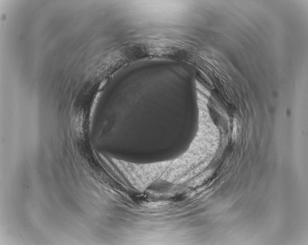 X0000087020219200705071518