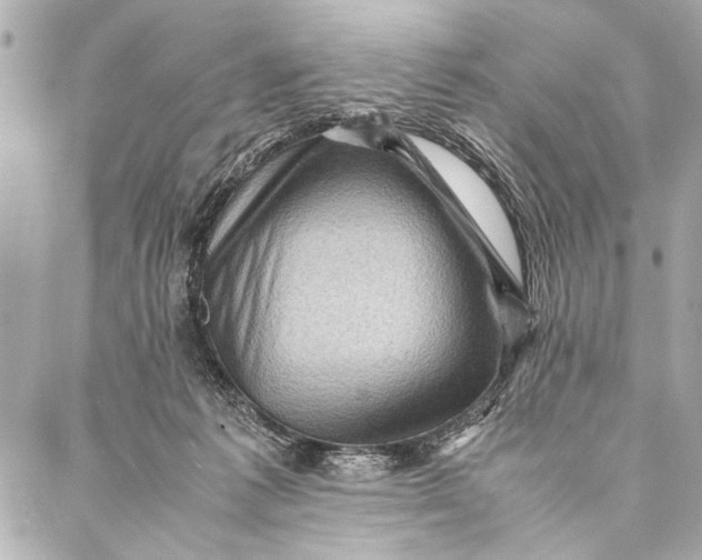 X0000087020221200705071517