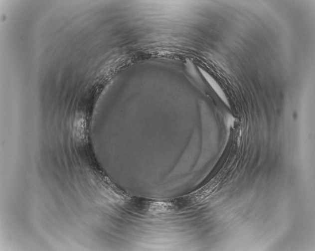 X0000087020222200705071517