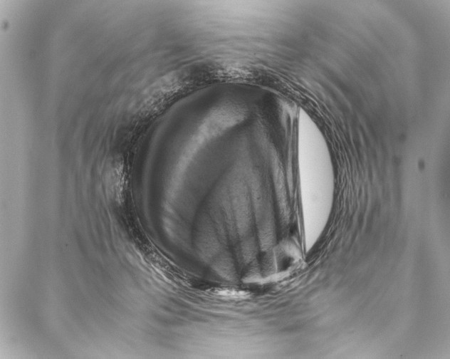 X0000087020223200705071517