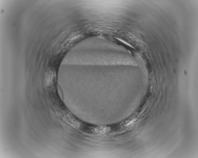 X0000087020225200705071517