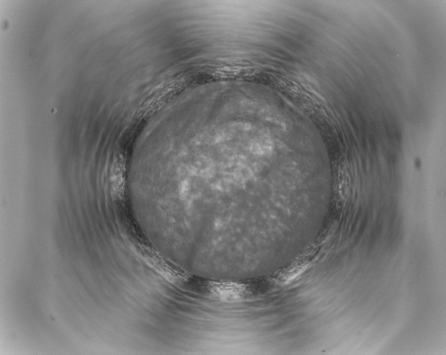 X0000087020226200705071517