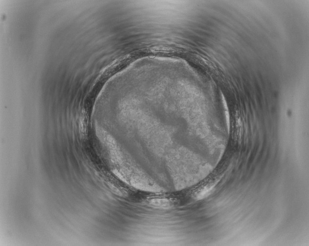 X0000087020228200705071517