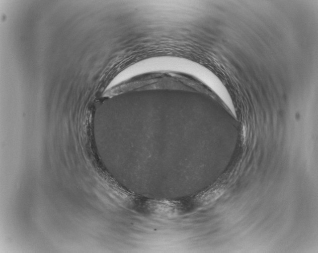 X0000087020229200705071517