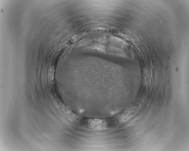 X0000087020230200705071517