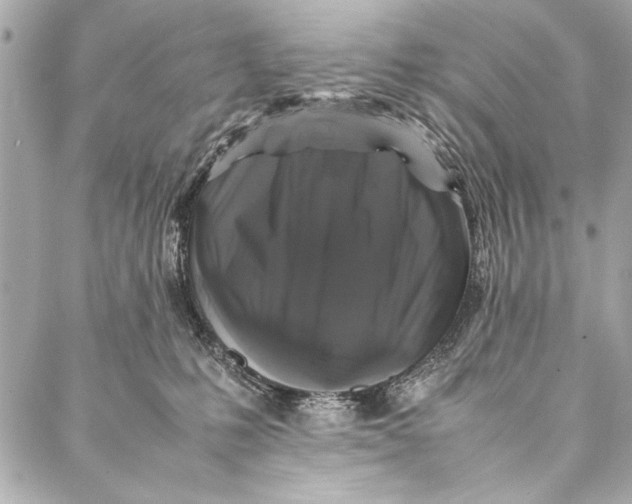 X0000087020231200705071517