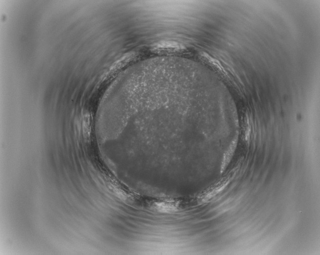 X0000087020232200705071517