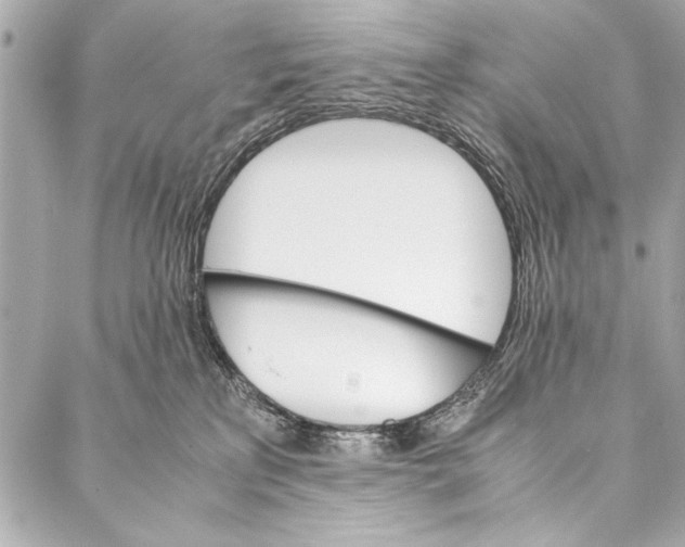 X0000087020233200705071517