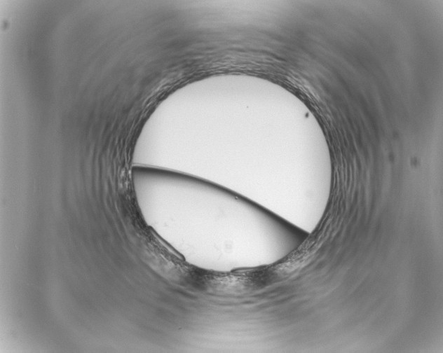 X0000087020237200705071517