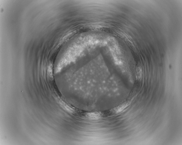 X0000087020238200705071517