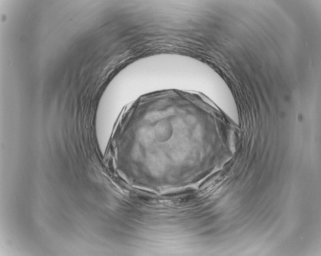 X0000087020239200705071517