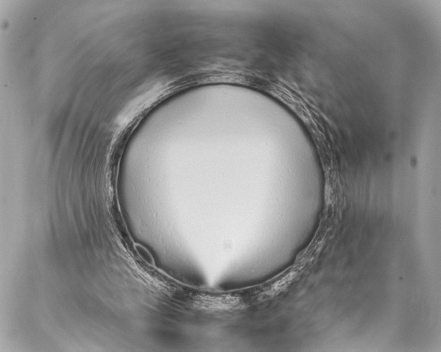 X0000087020245200705071516