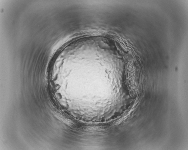 X0000087020246200705071516