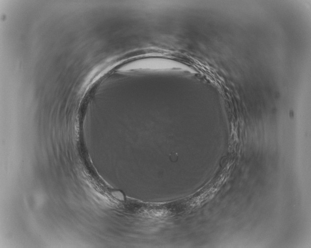 X0000087020247200705071517