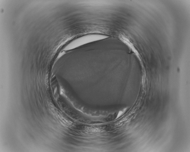 X0000087020249200705071517