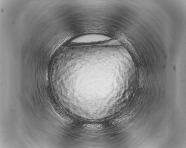 X0000087020251200705071517