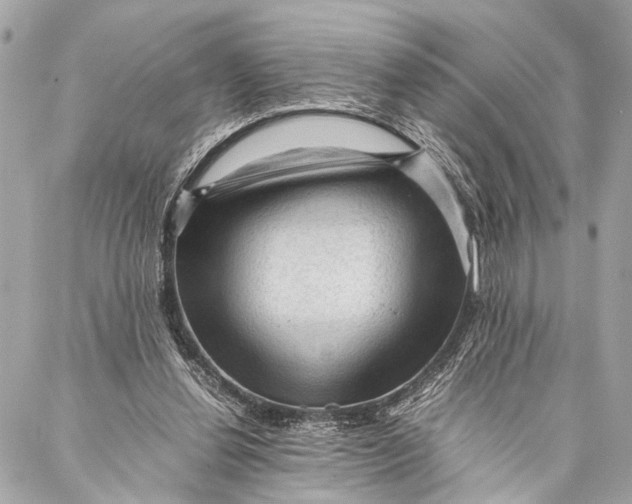 X0000087020252200705071517