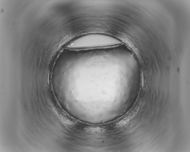 X0000087020253200705071517