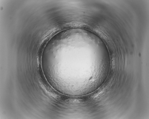 X0000087020254200705071517