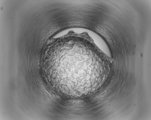 X0000087020255200705071517