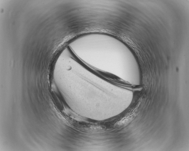 X0000087020256200705071517