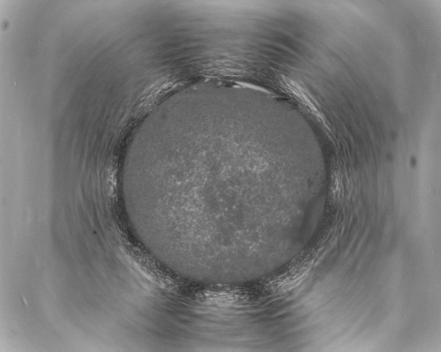 X0000087020259200705071517