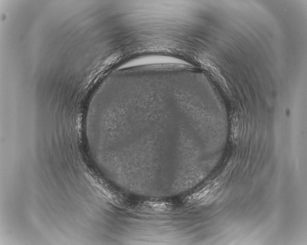 X0000087020260200705071517