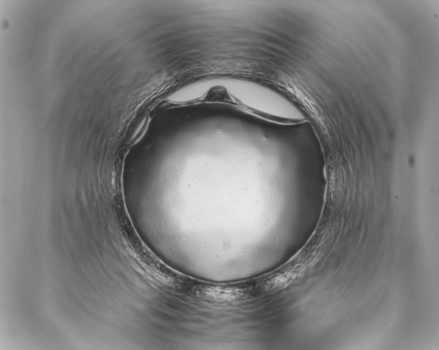 X0000087020261200705071517