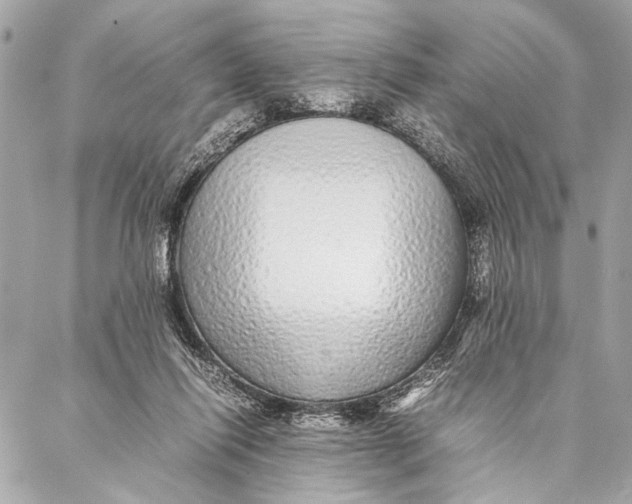 X0000087020262200705071517