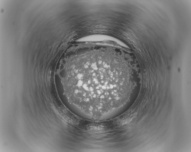 X0000087020263200705071517