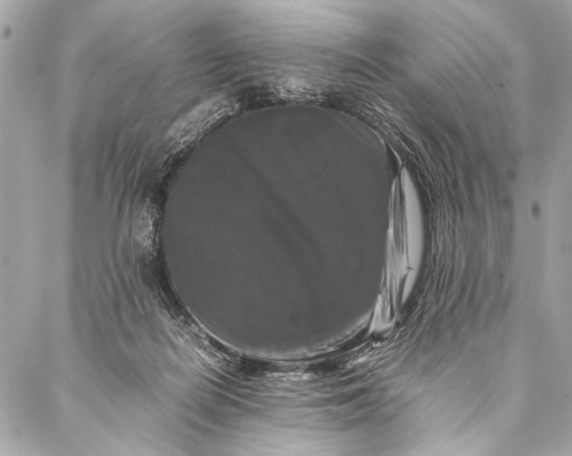 X0000087020266200705071517