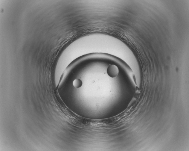 X0000087020268200705071517