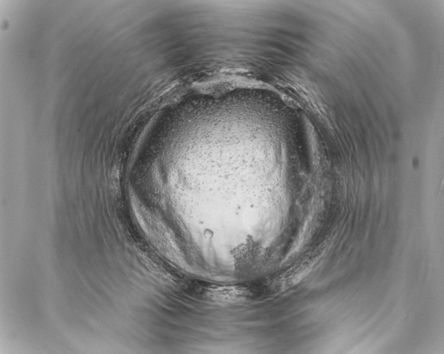 X0000087020269200705071517