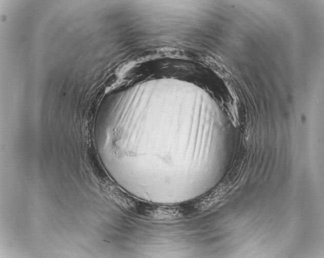 X0000087020270200705071517