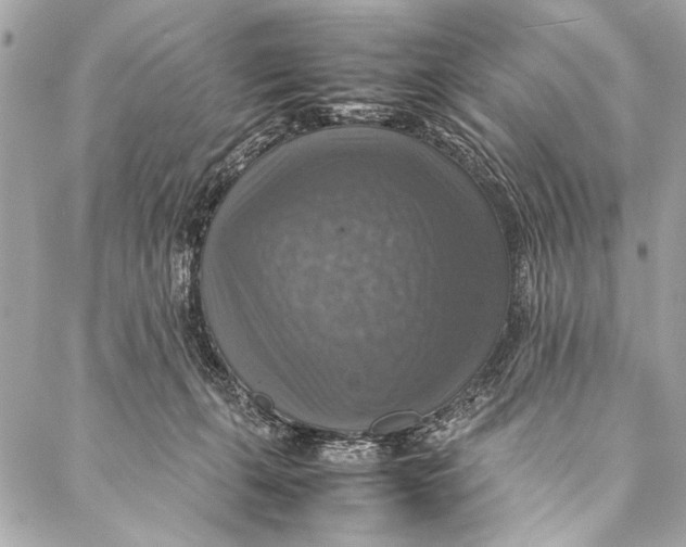 X0000087020271200705071517