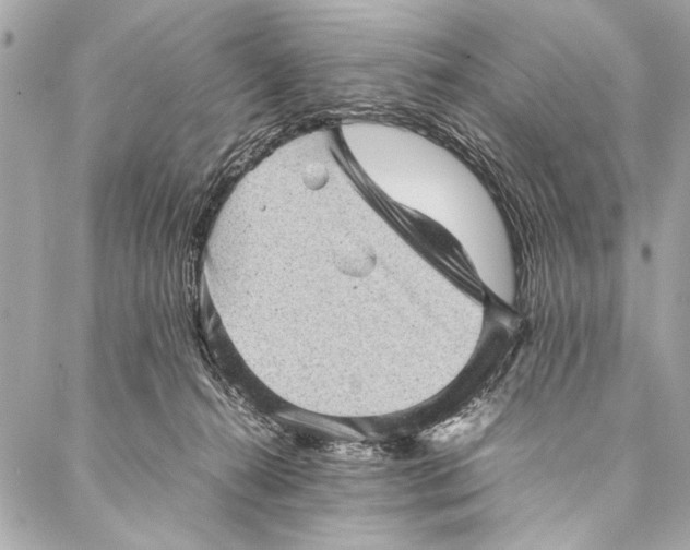 X0000087020272200705071517