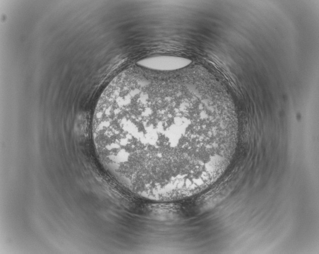 X0000087020273200705071517