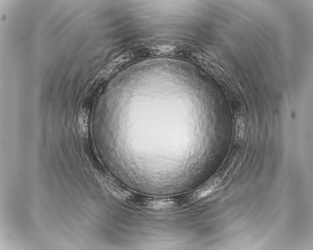 X0000087020274200705071517