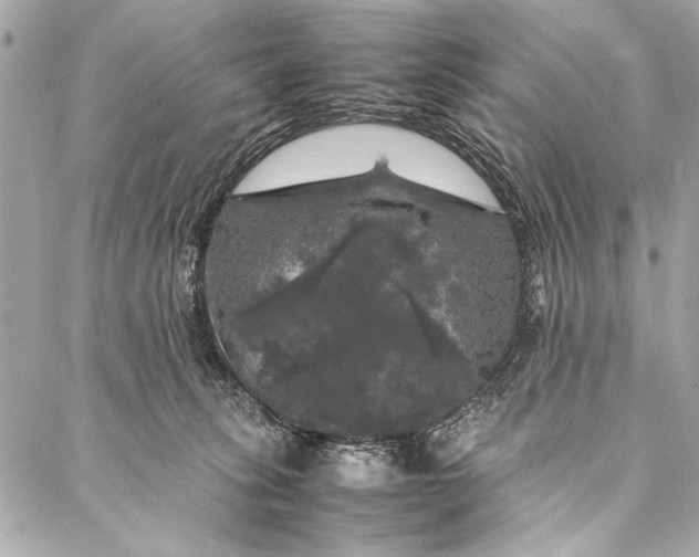 X0000087020275200705071517