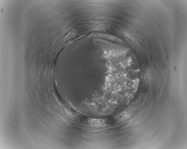 X0000087020277200705071517