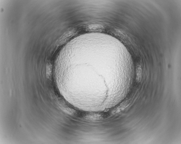 X0000087020278200705071517