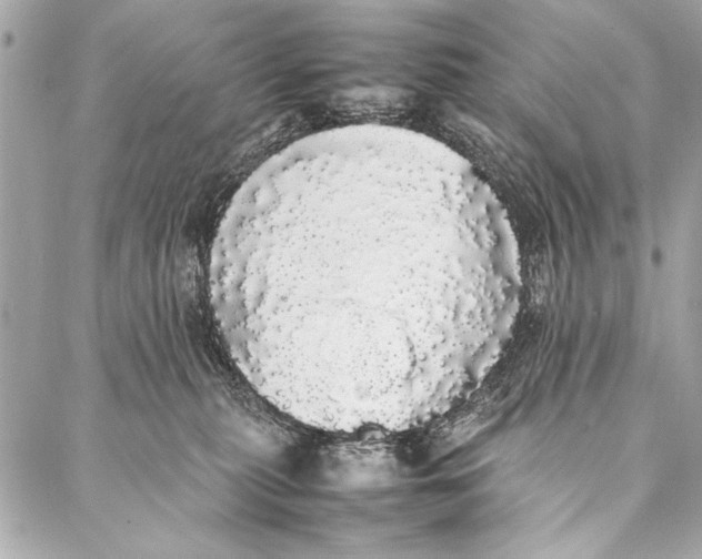 X0000087020279200705071517