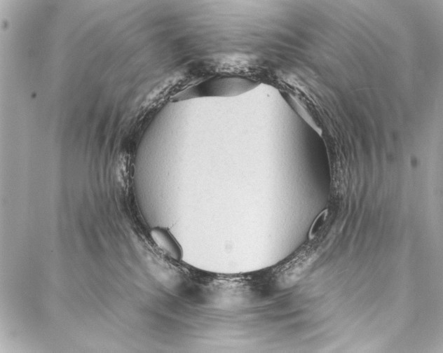 X0000087020280200705071517