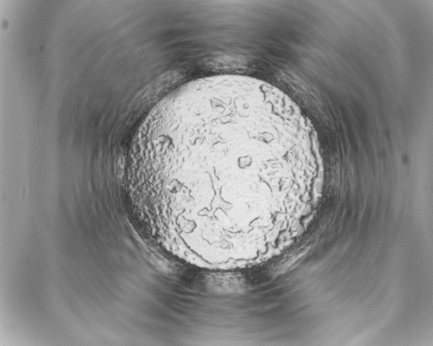 X0000087020281200705071517