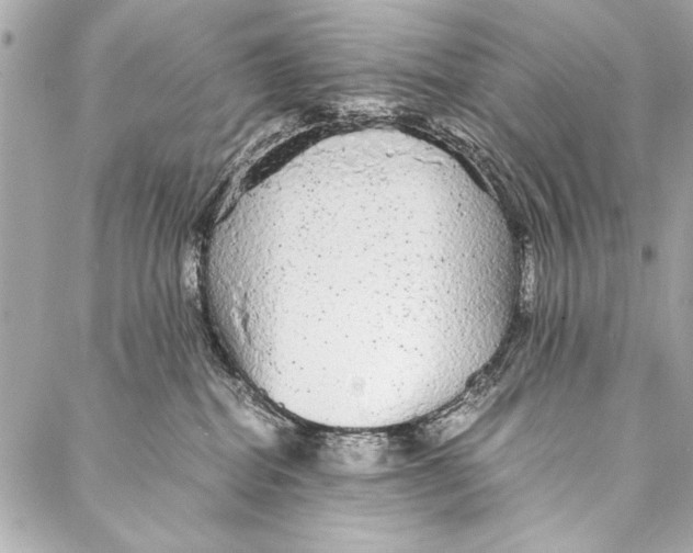 X0000087020282200705071517