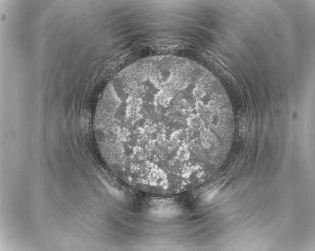 X0000087020283200705071517